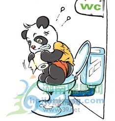 要防肛裂 就得先防便秘
