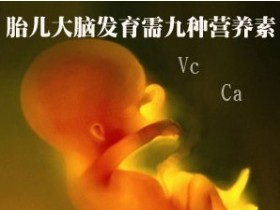 婴儿期如何保障大脑发育？